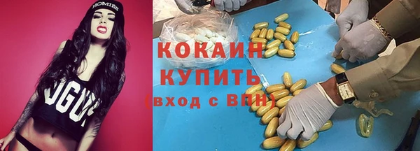 соль ск Алексин