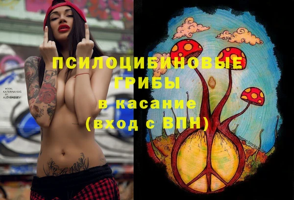 стаф Алексеевка