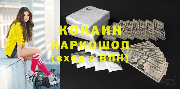 соль ск Алексин