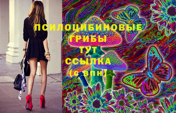соль ск Алексин